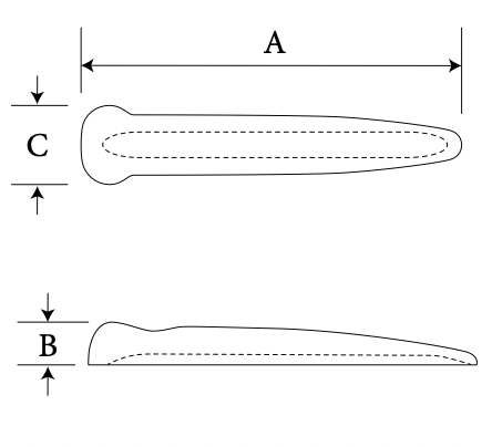 Nasal Dorsum diagram