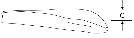 Contoured Mandibular Angle diagram 2
