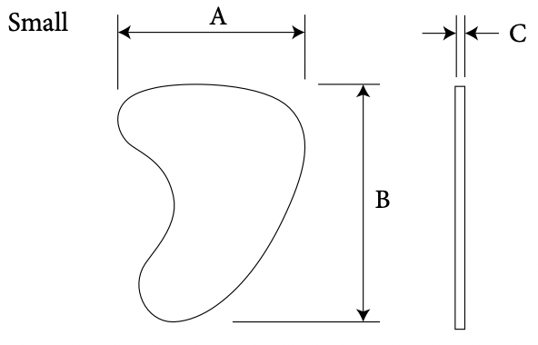 mastoid diagram 2