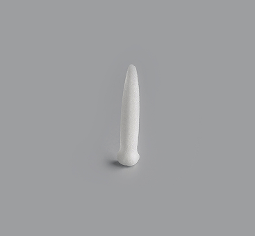 Nasal Dorsal Shell (2)