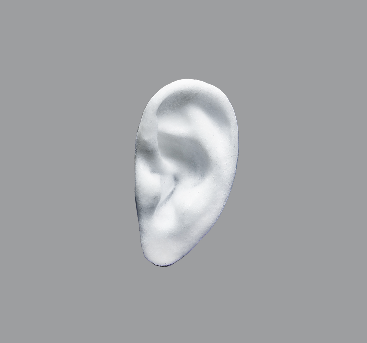 One Piece Ear (1)