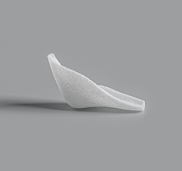 SP Mandibular Angle
