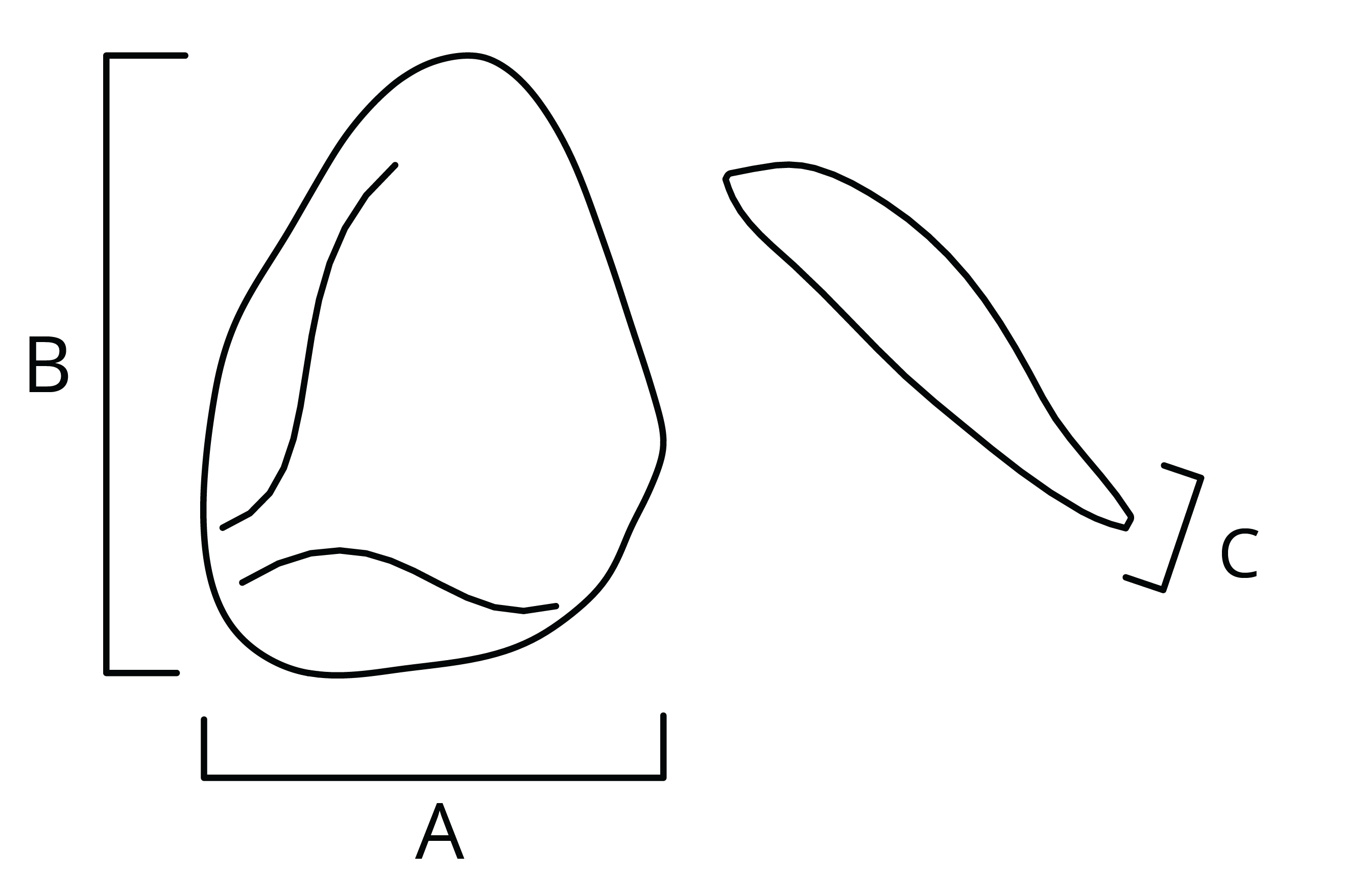 All Implant Diagrams-23