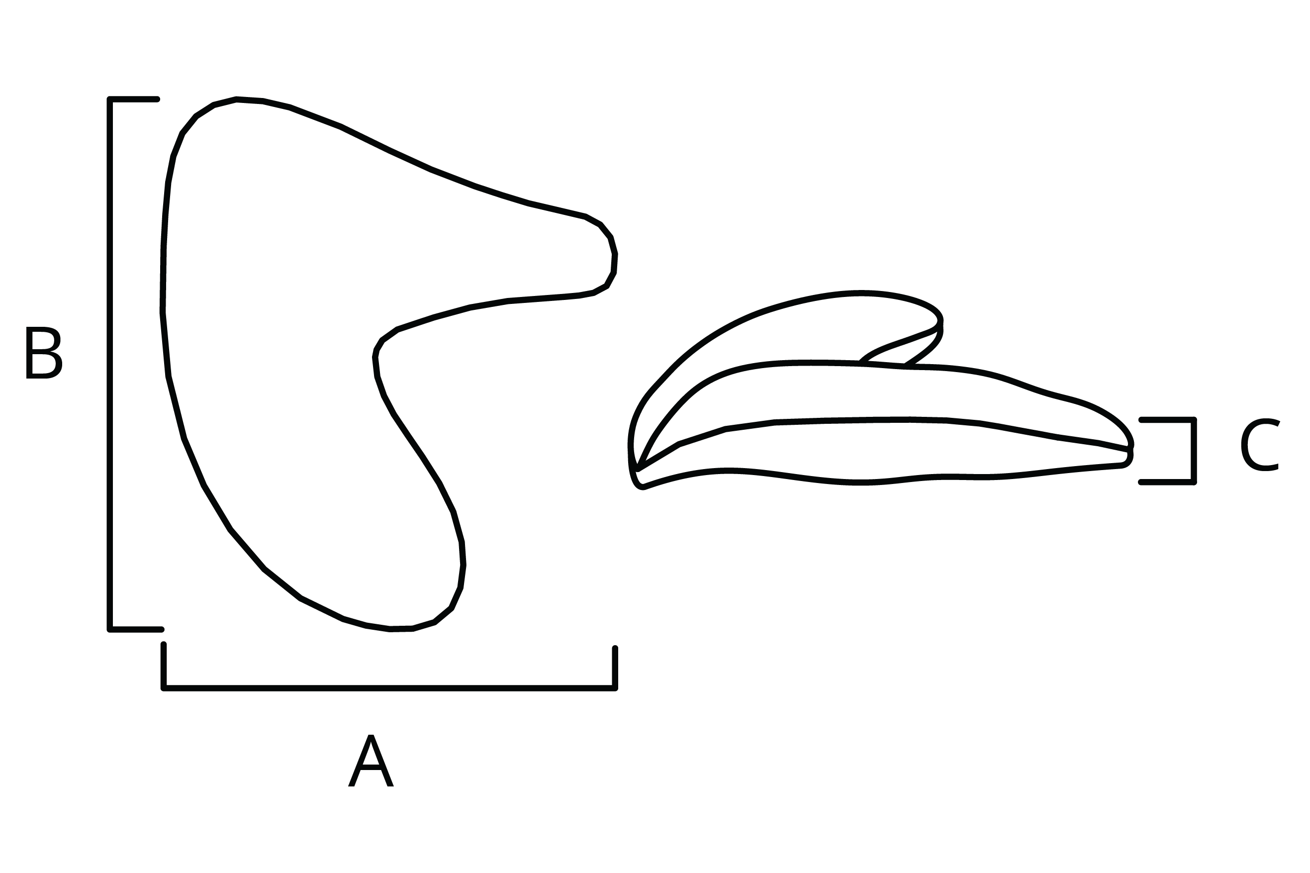 All Implant Diagrams-34