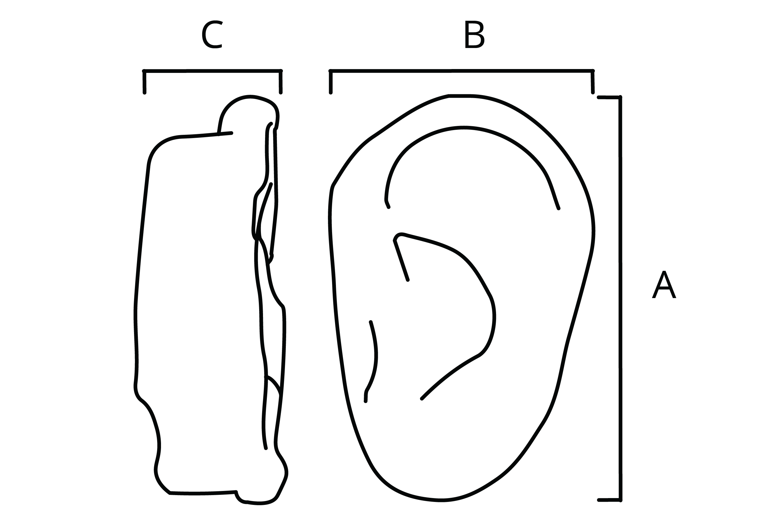 All Implant Diagrams-38