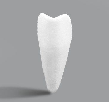 SU-POR Nasal Shell Image (1)