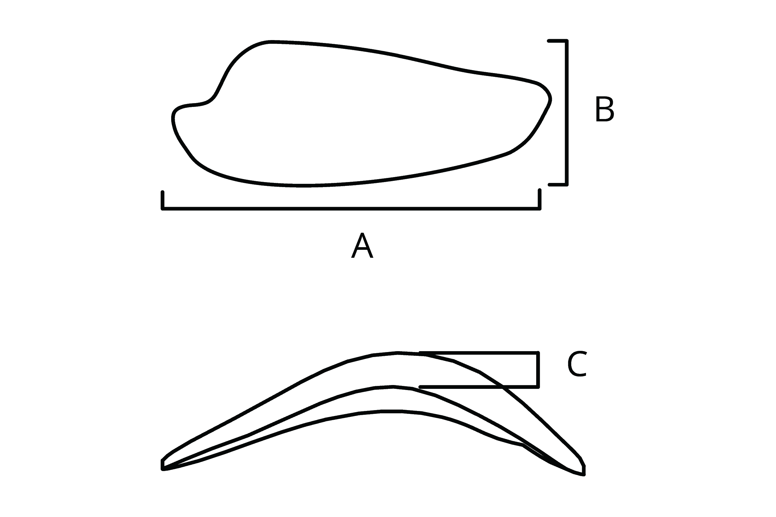 All Implant Diagrams-51