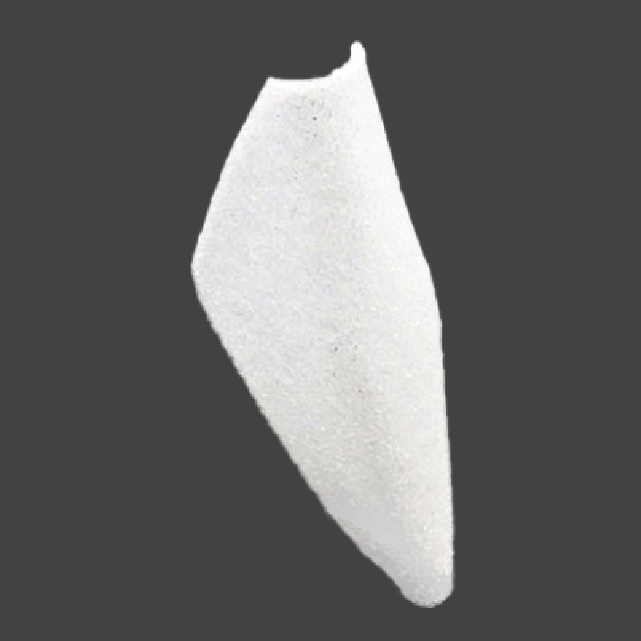 websitepics-13 White curved shell-shaped implant for nasal bridge reconstruction