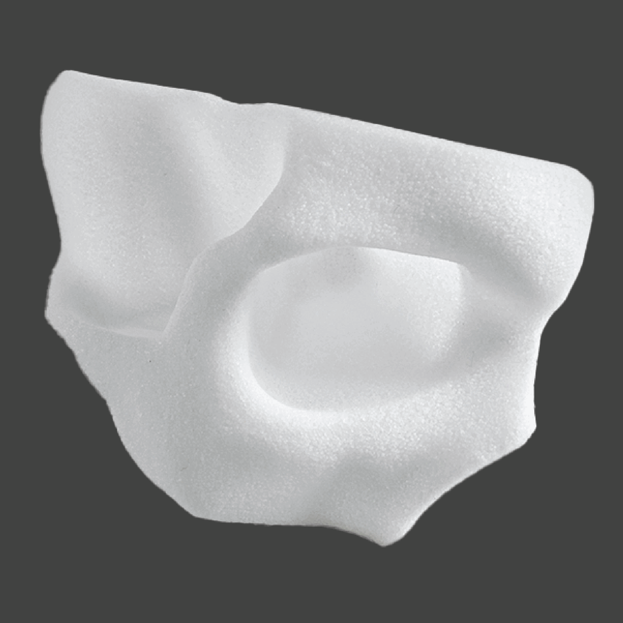 websitepics-33 White complex orbital implant with multiple anatomical features