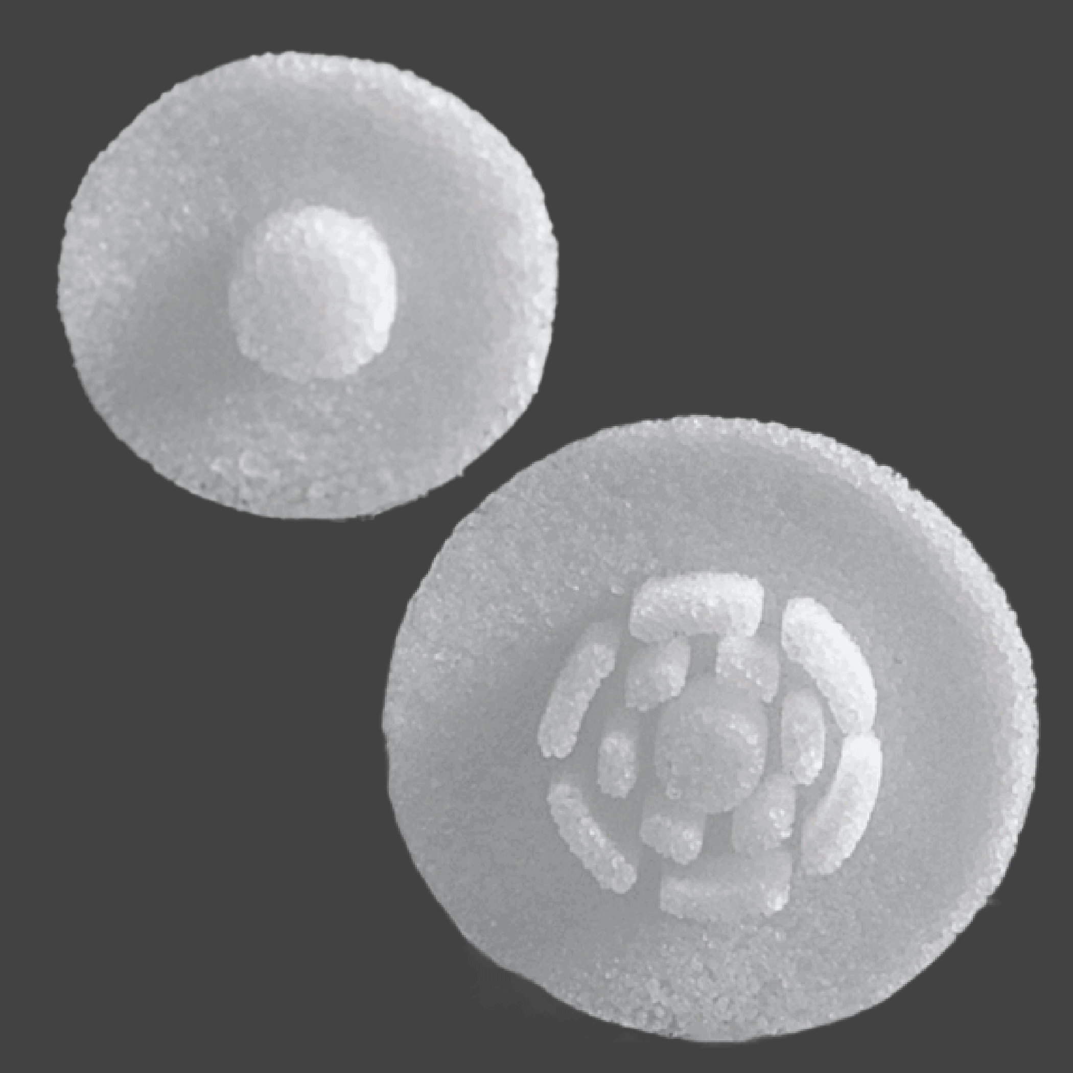 Round white implant with central hole for burr hole coverage