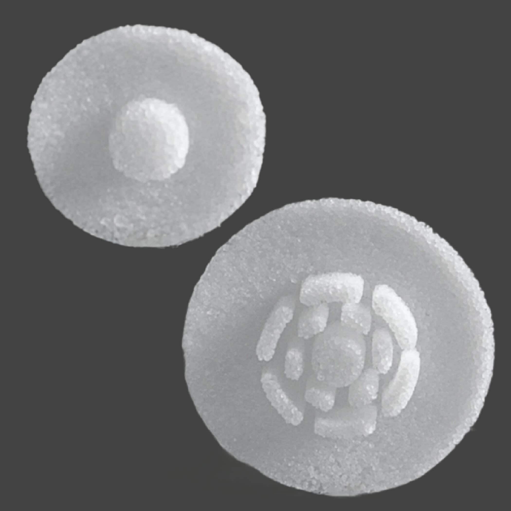 Round white implant with central hole for burr hole coverage